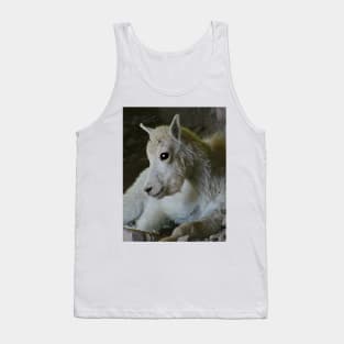 Glacier National Park Rocky Mountain Sheep Tank Top